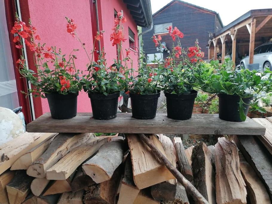 Rotes Haus Appartement Pielenhofen Buitenkant foto